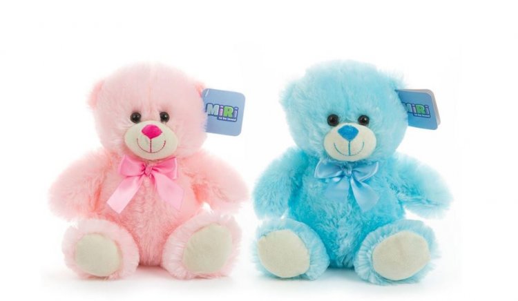 25cm Pink And Blue Bear - Click Image to Close