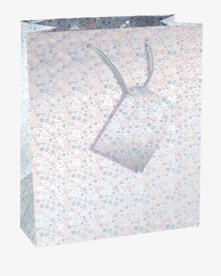 County Holographic Gift Bags Medium 17.5cm X 22.5cm X 10.5cm - Click Image to Close