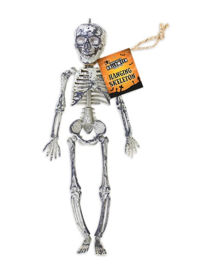 Halloween Hanging Skeleton - Click Image to Close